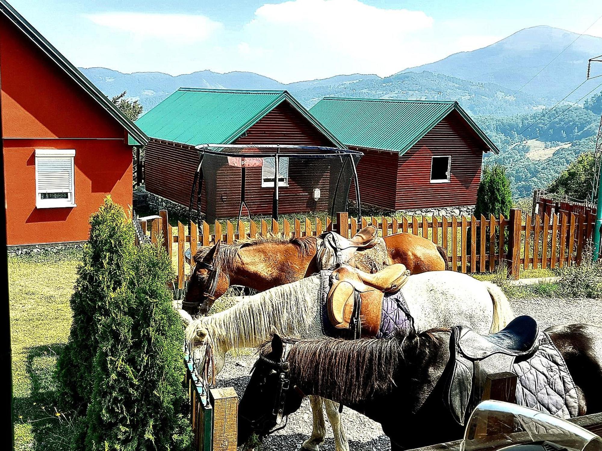 Ethno Village & Resort Coric โมจโคแวก ภายนอก รูปภาพ
