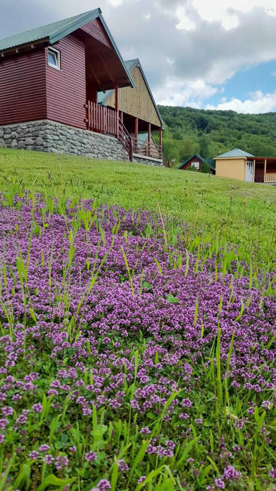 Ethno Village & Resort Coric โมจโคแวก ภายนอก รูปภาพ
